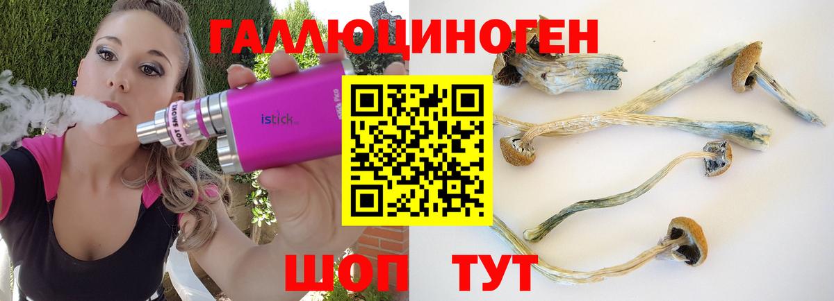 Псилоцибиновые грибы Magic Shrooms  Вход с VPN  Отрадное 